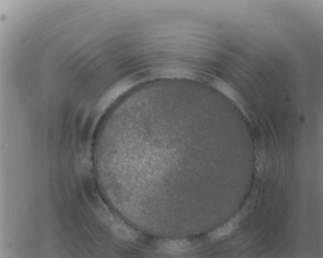 X0000062931074200601202021