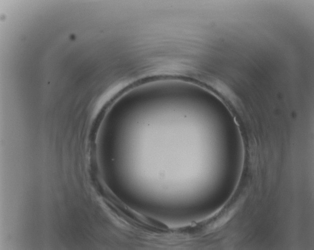 X0000062931077200601202021