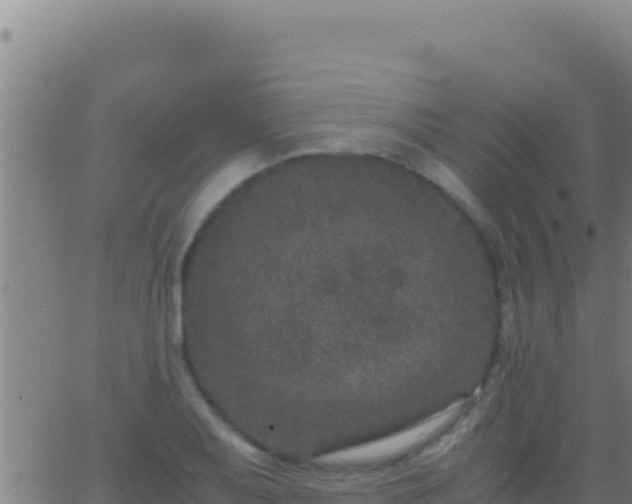 X0000062931079200601202021