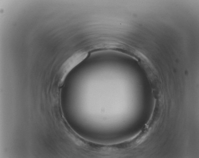 X0000062931081200601202021