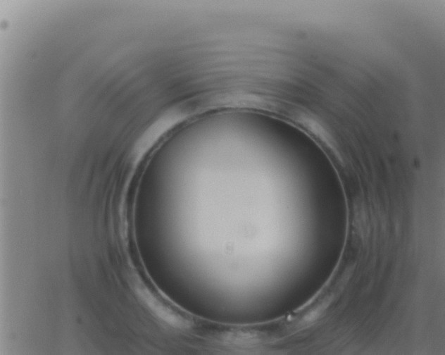 X0000062931082200601202021