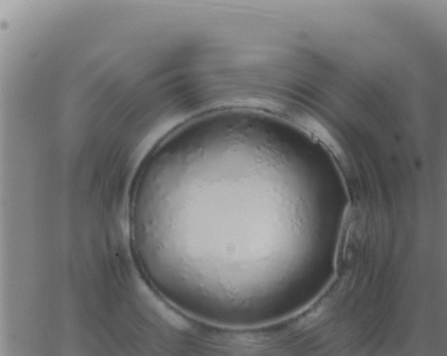 X0000062931084200601202021