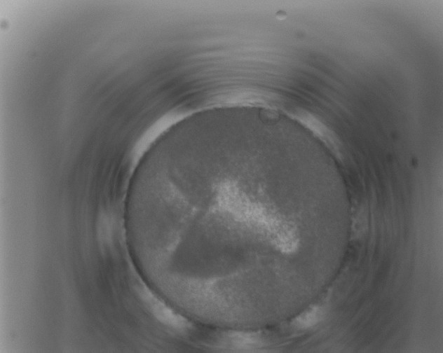 X0000062931086200601202021