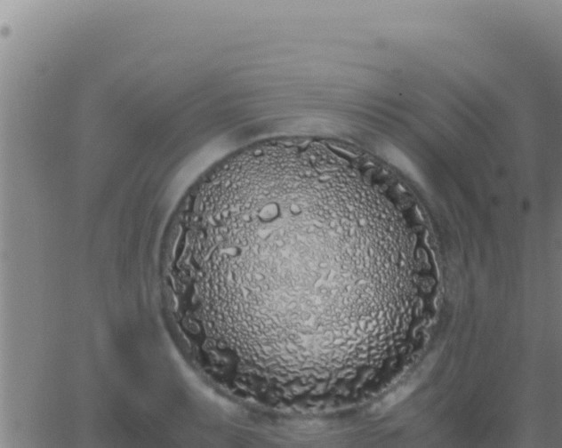 X0000062931087200601202021