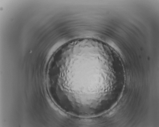 X0000062931088200601202021