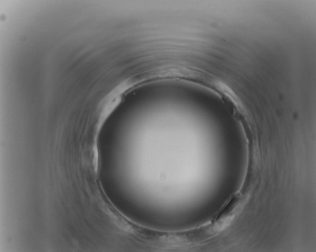 X0000062931089200601202021