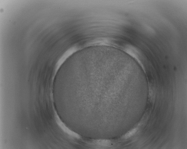 X0000062931090200601202020