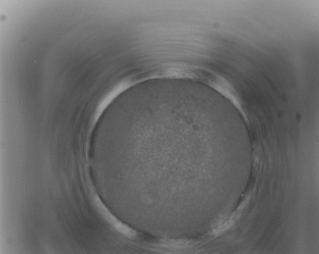 X0000062931091200601202020