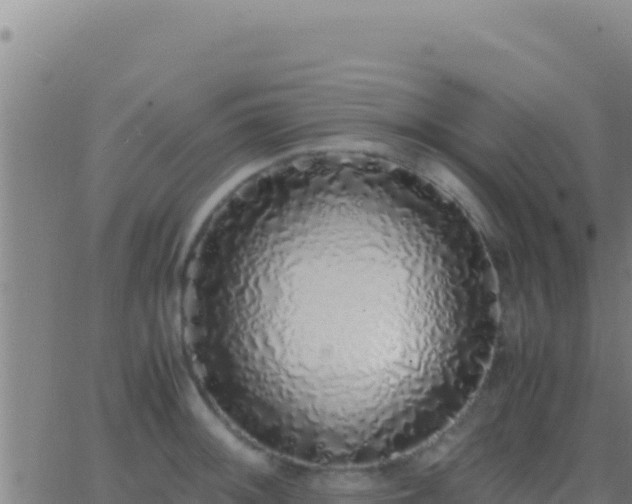 X0000062931092200601202020