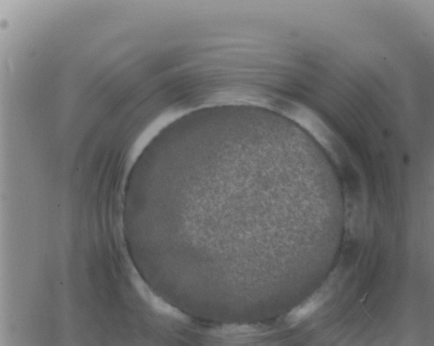 X0000062931094200601202020