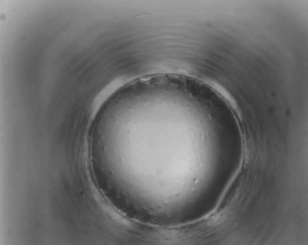 X0000062931096200601202020