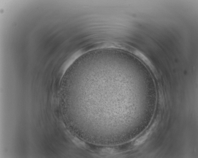 X0000062931097200601202020