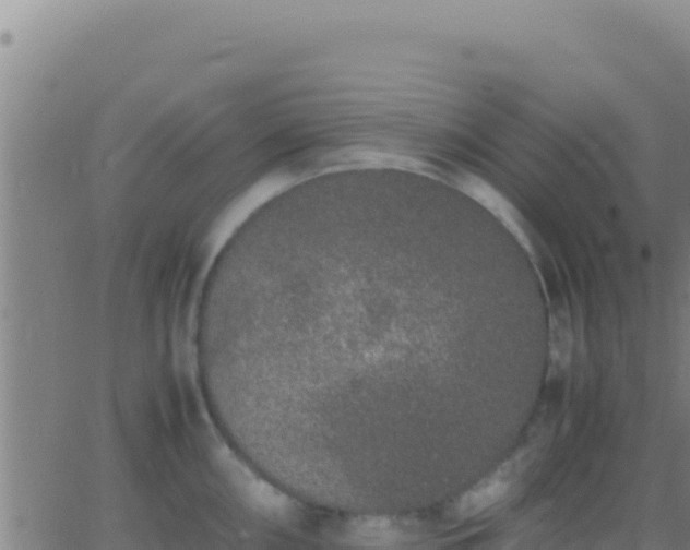 X0000062931098200601202020