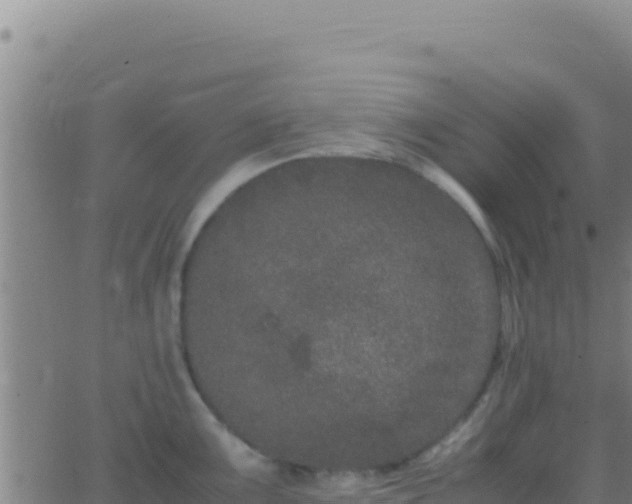 X0000062931099200601202020