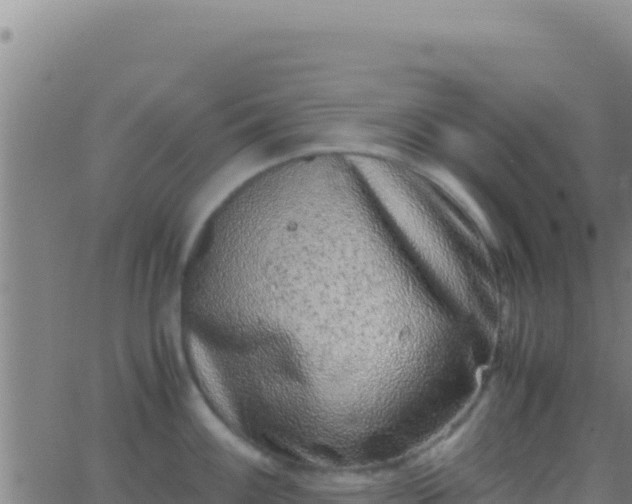 X0000062931100200601202020