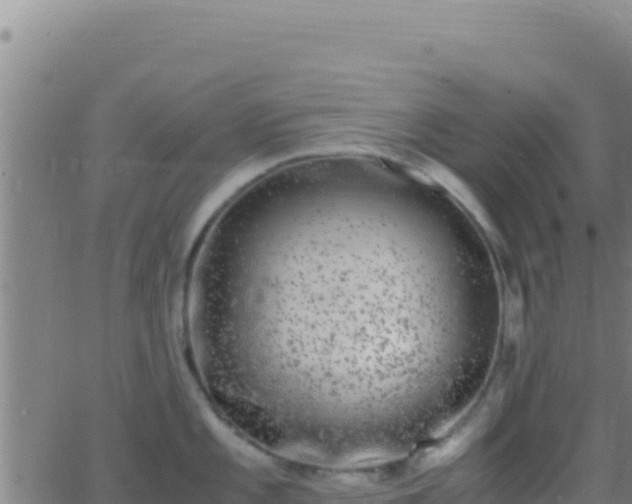 X0000062931101200601202020