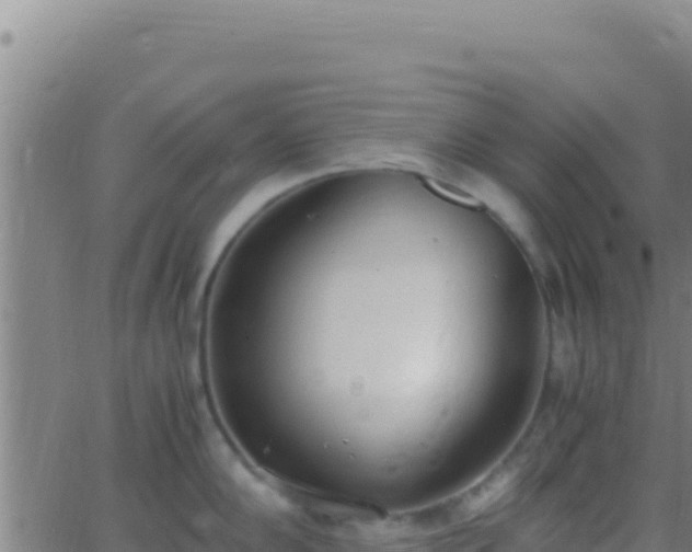 X0000062931102200601202020