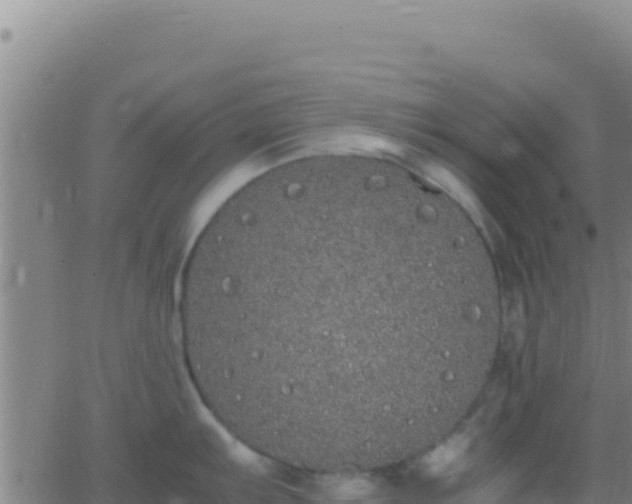 X0000062931103200601202020