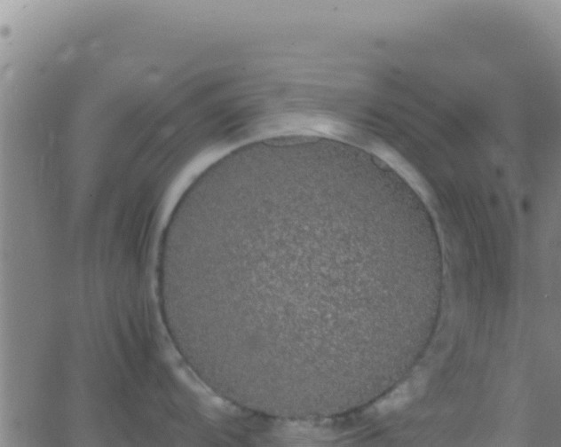 X0000062931104200601202020