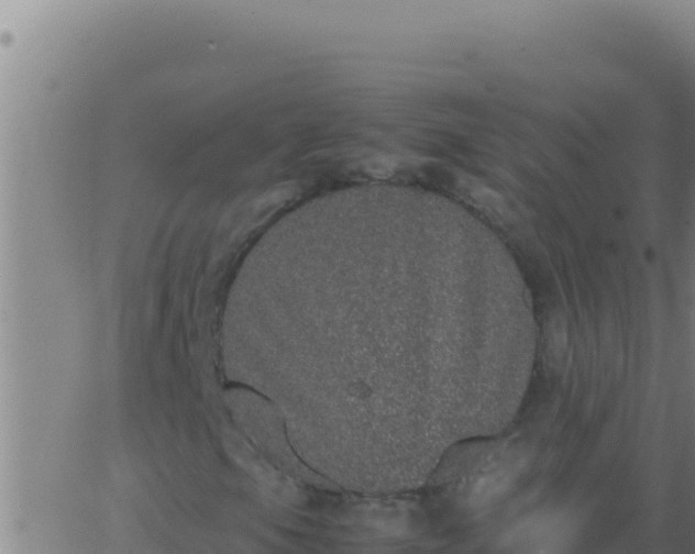 X0000062931105200601202019