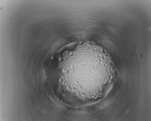 X0000062931106200601202020