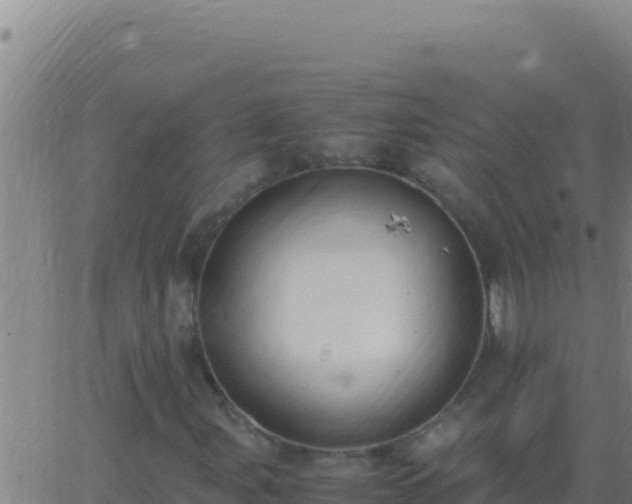 X0000062931107200601202020