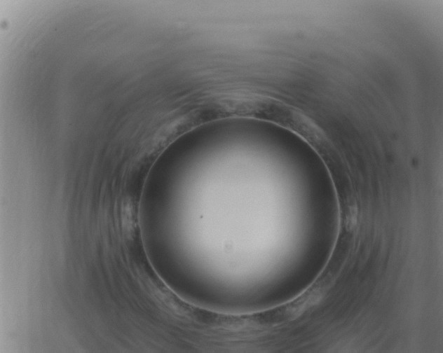 X0000062931108200601202020