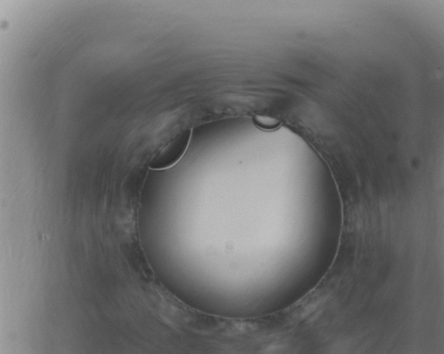 X0000062931109200601202020