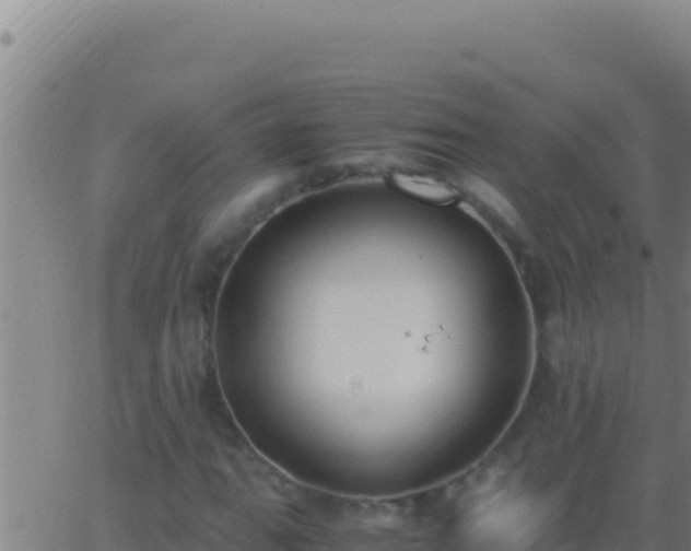 X0000062931111200601202020