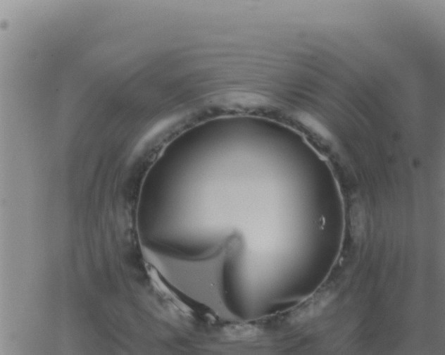 X0000062931112200601202020