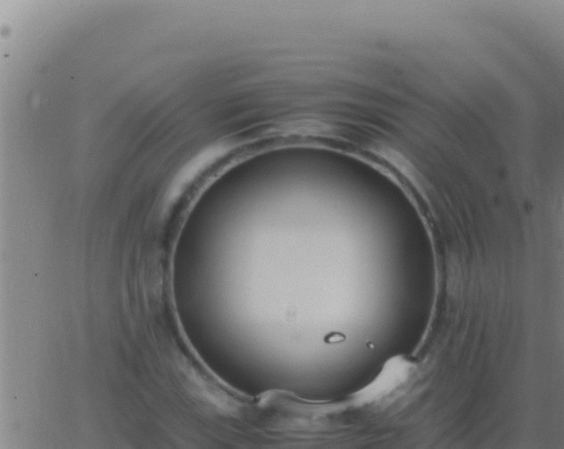 X0000062931115200601202020