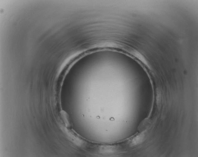 X0000062931116200601202020