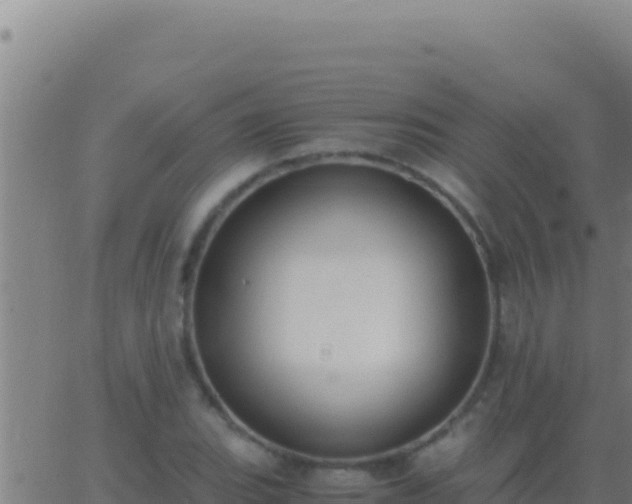 X0000062931119200601202020