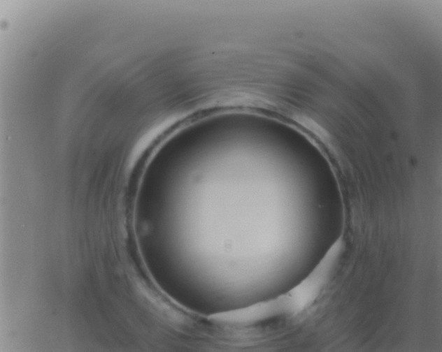 X0000062931120200601202020