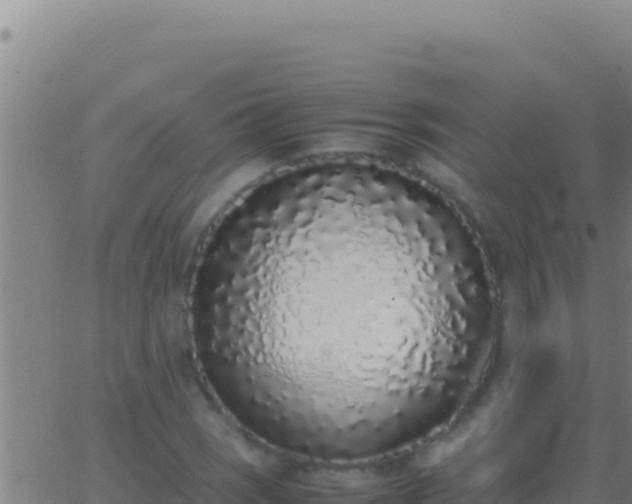 X0000062931121200601202020