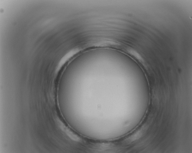 X0000062931122200601202020