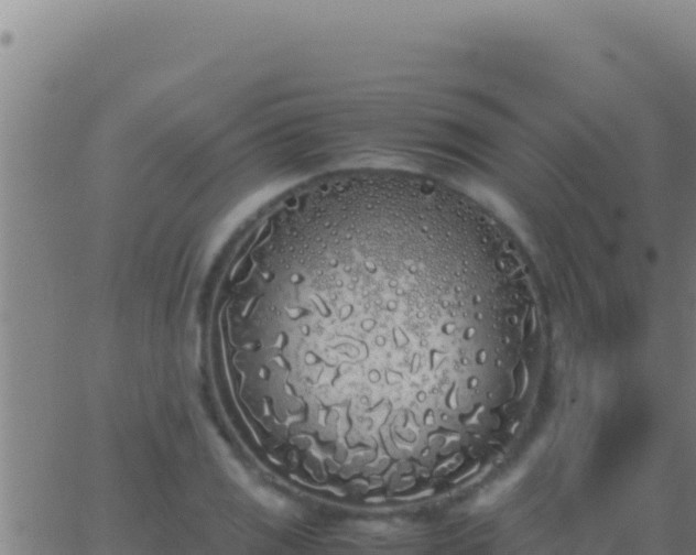 X0000062931125200601202020