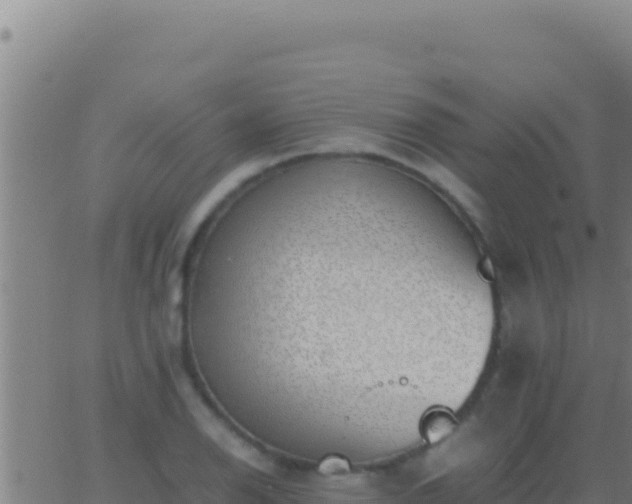 X0000062931126200601202020