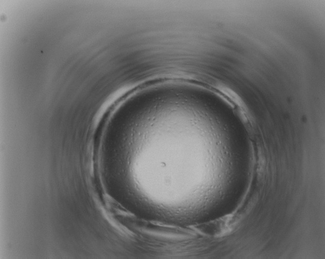 X0000062931128200601202020