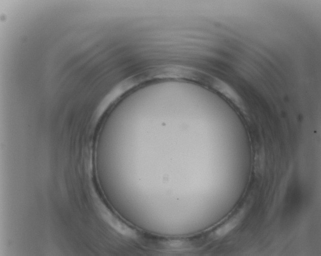 X0000062931130200601202020