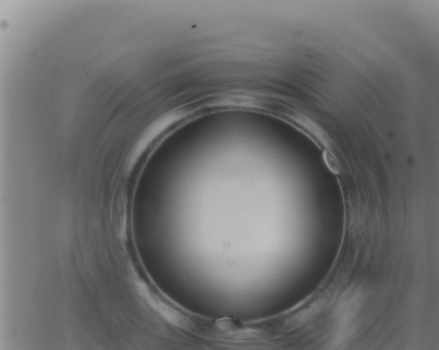 X0000062931131200601202020