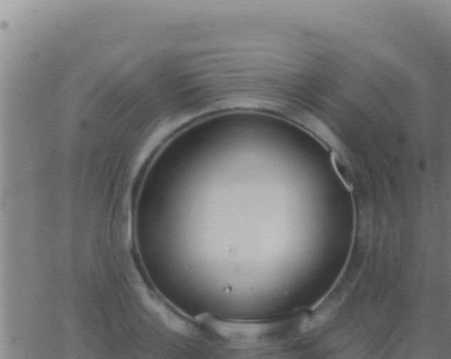 X0000062931132200601202020