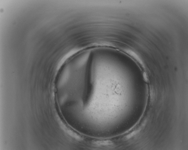 X0000062931133200601202020