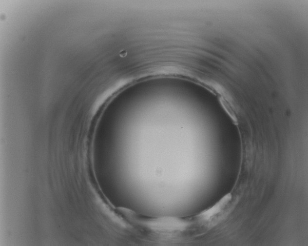 X0000062931134200601202020