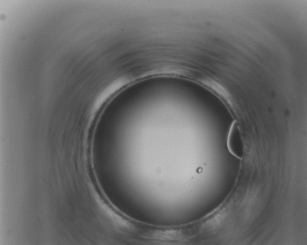 X0000062931135200601202020