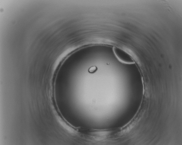 X0000062931136200601202020