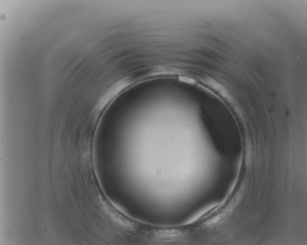 X0000062931137200601202020