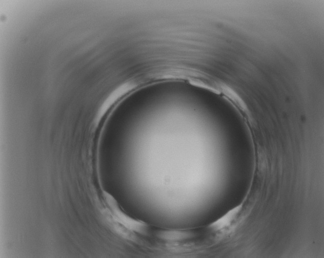 X0000062931138200601202020