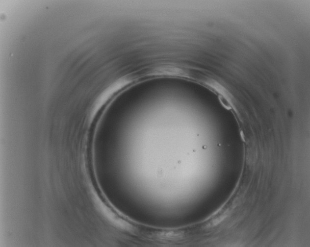 X0000062931139200601202020