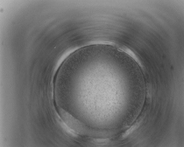 X0000062931140200601202020